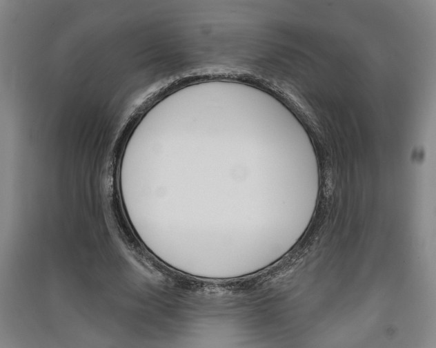 X0000091510632200708170950