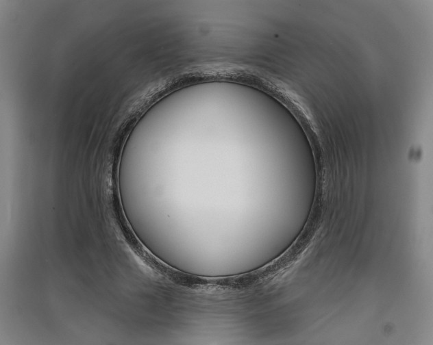 X0000091510633200708170950