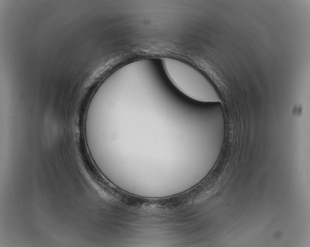 X0000091510634200708170950