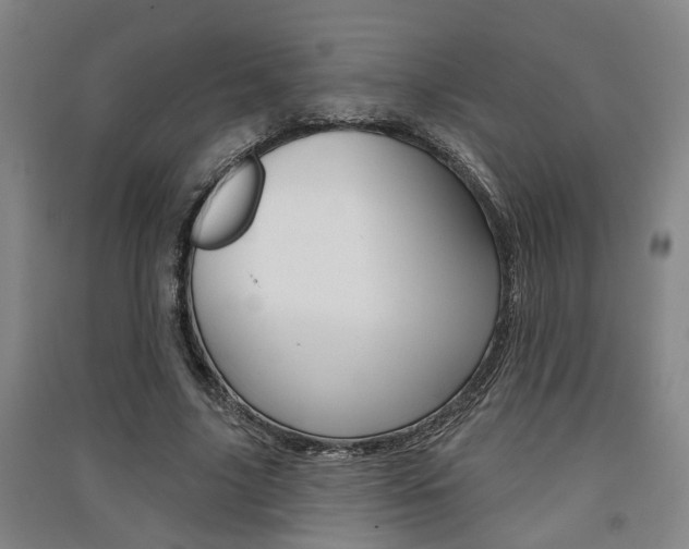X0000091510635200708170950