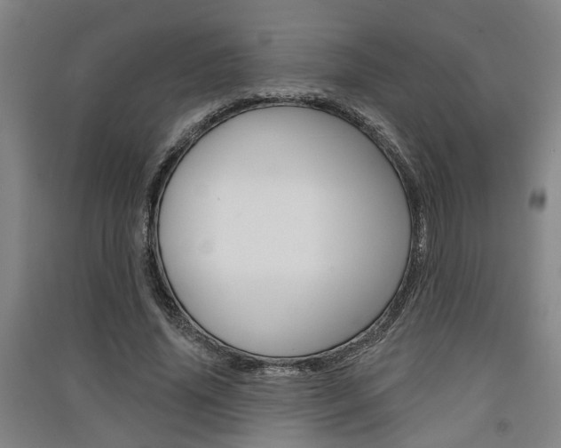 X0000091510636200708170950
