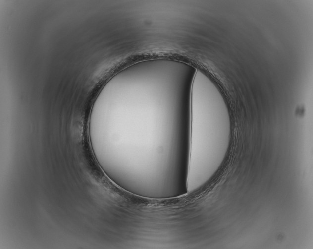 X0000091510640200708170950