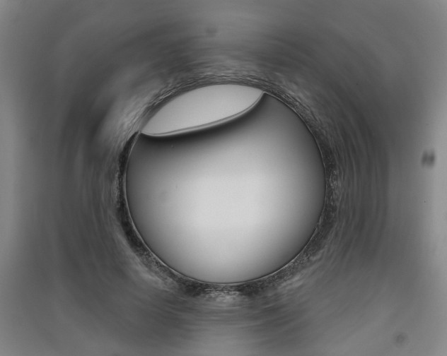 X0000091510642200708170950