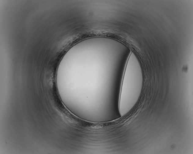 X0000091510644200708170950