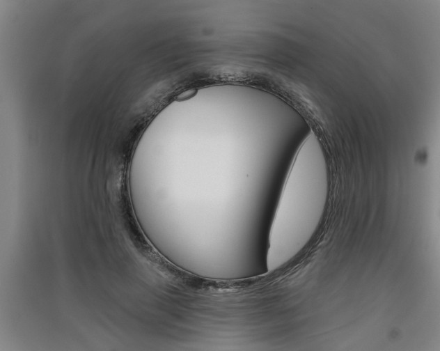 X0000091510645200708170950