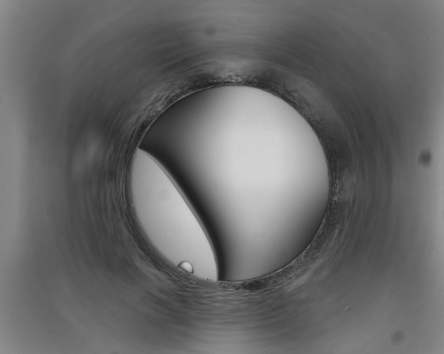 X0000091510646200708170950