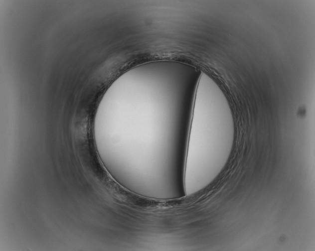 X0000091510647200708170950