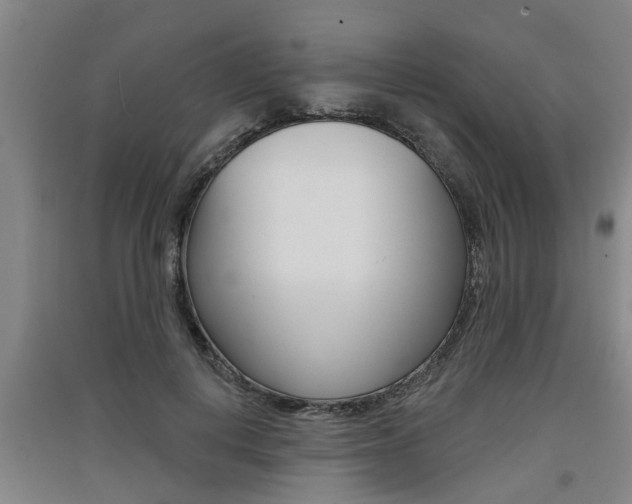 X0000091510648200708170950