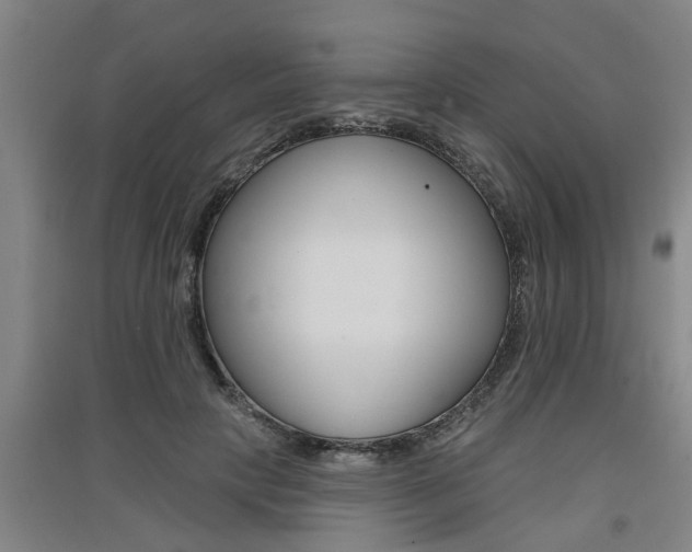 X0000091510649200708170950