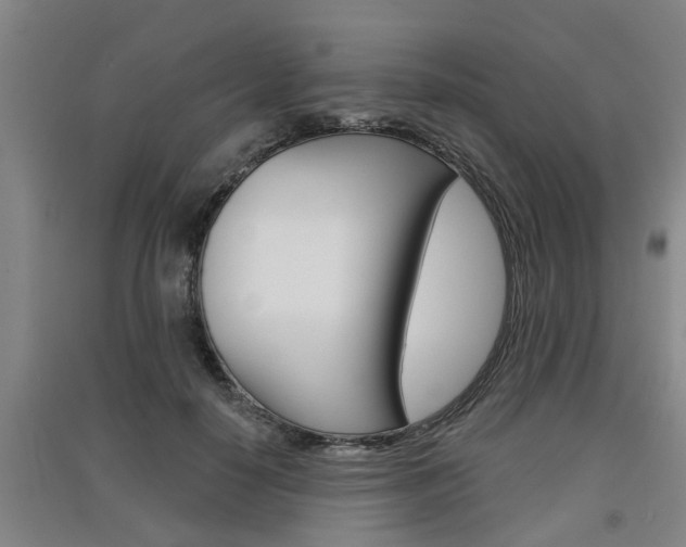 X0000091510650200708170950