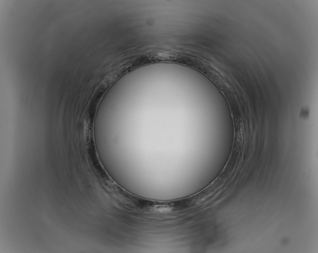 X0000091510651200708170950