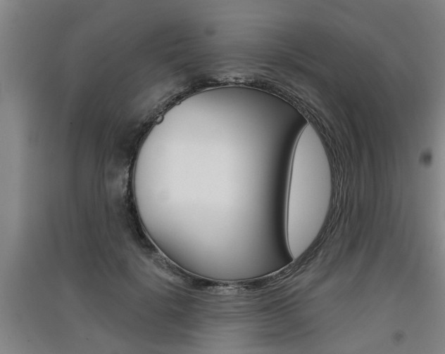 X0000091510652200708170950