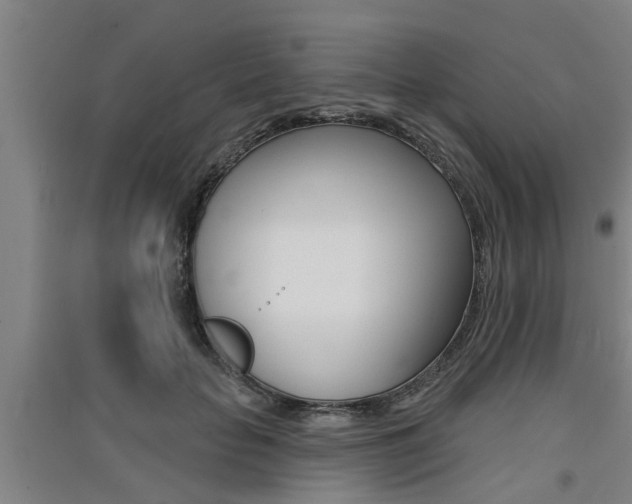 X0000091510653200708170950