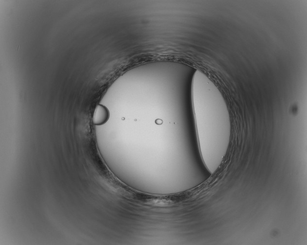 X0000091510654200708170950