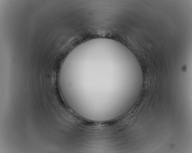 X0000091510656200708170950
