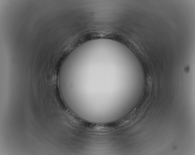 X0000091510657200708170950