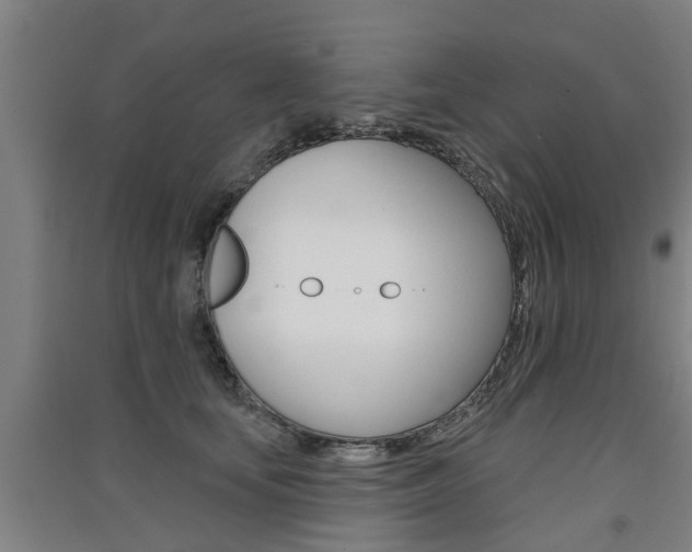 X0000091510659200708170950