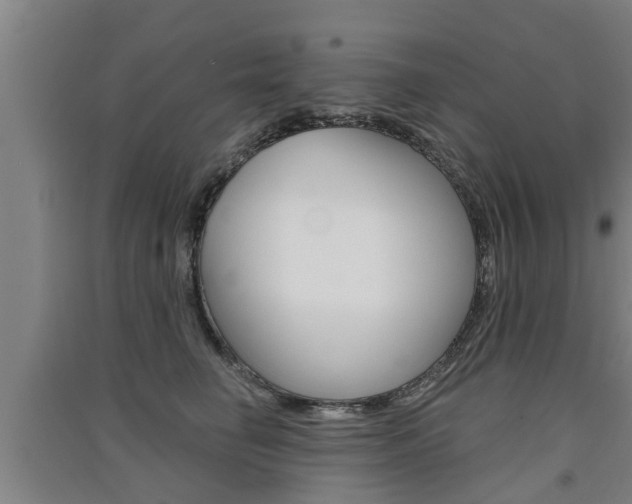X0000091510662200708170950