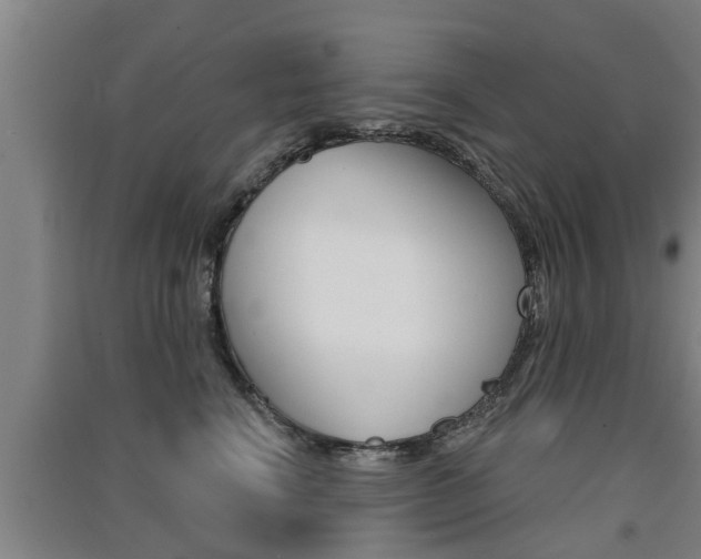 X0000091510664200708170950