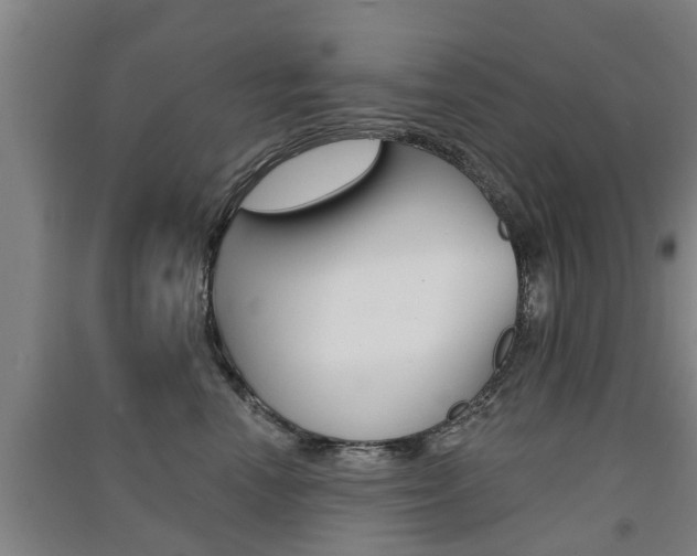 X0000091510666200708170950