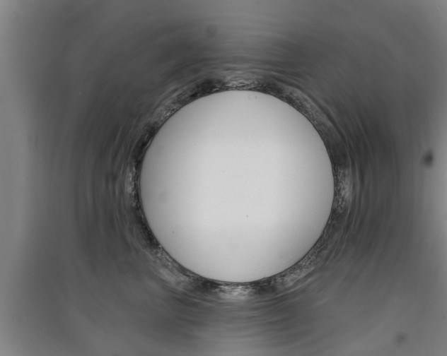 X0000091510667200708170950