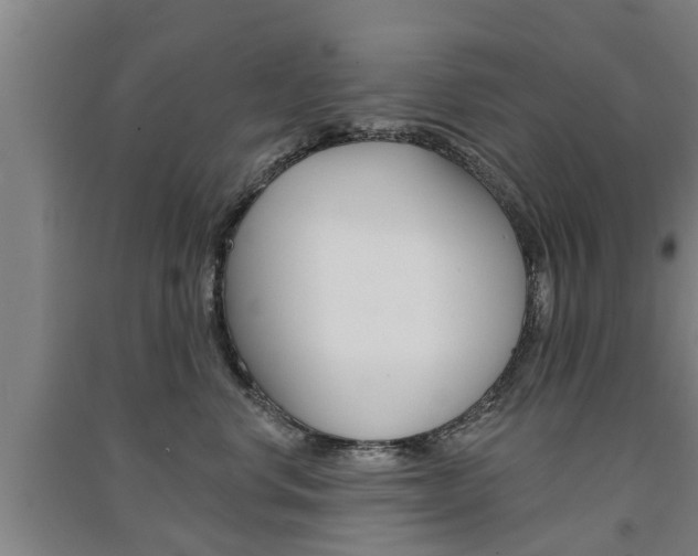 X0000091510668200708170950