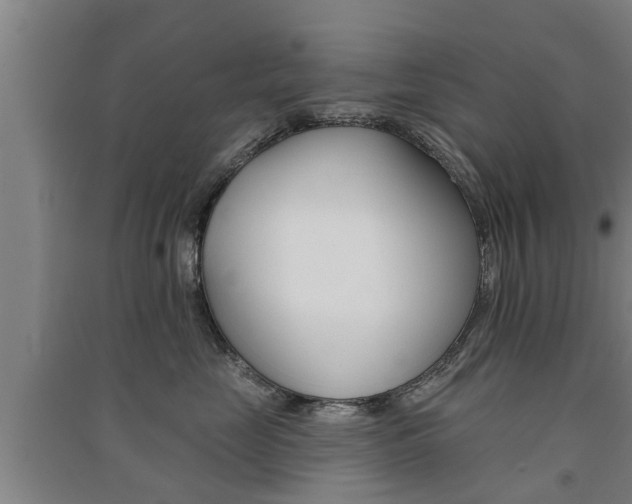 X0000091510669200708170950