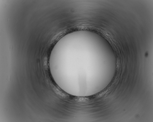 X0000091510670200708170950
