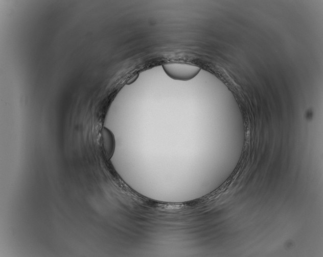 X0000091510671200708170950