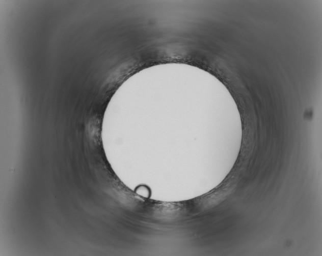X0000091510672200708170950