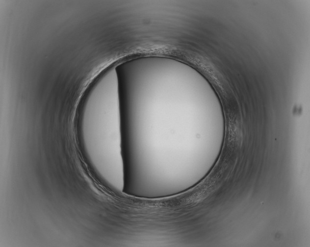 X0000091510674200708170950
