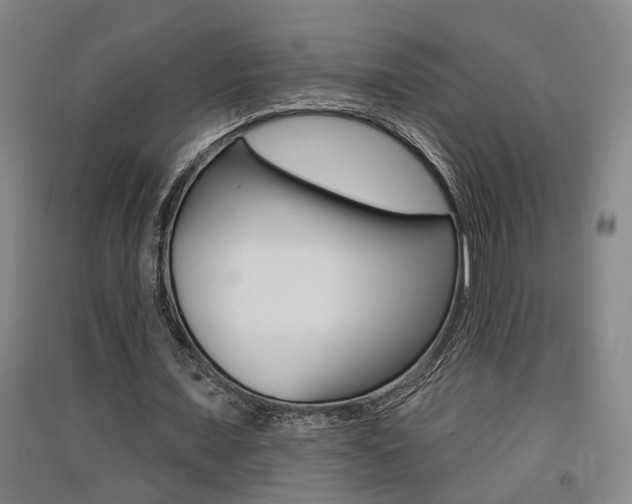 X0000091510675200708170950