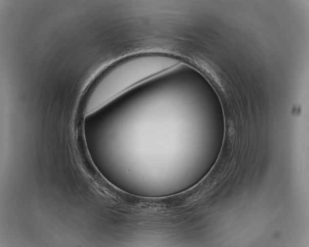 X0000091510676200708170950