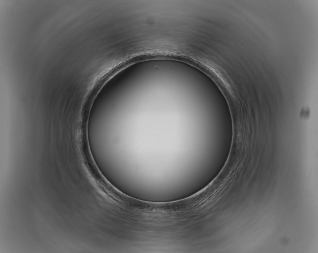 X0000091510677200708170950