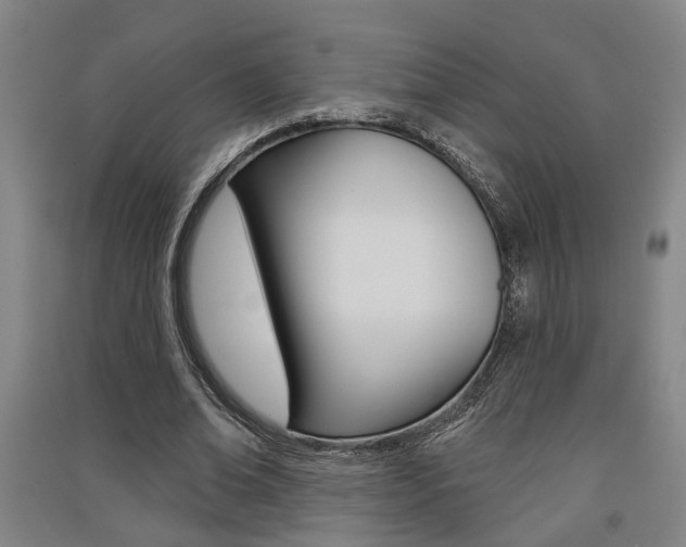X0000091510678200708170950