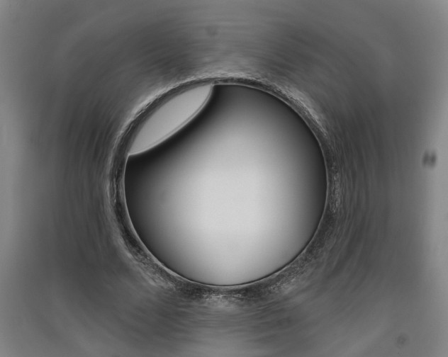 X0000091510680200708170950