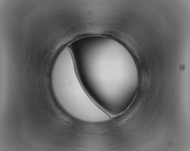 X0000091510681200708170950