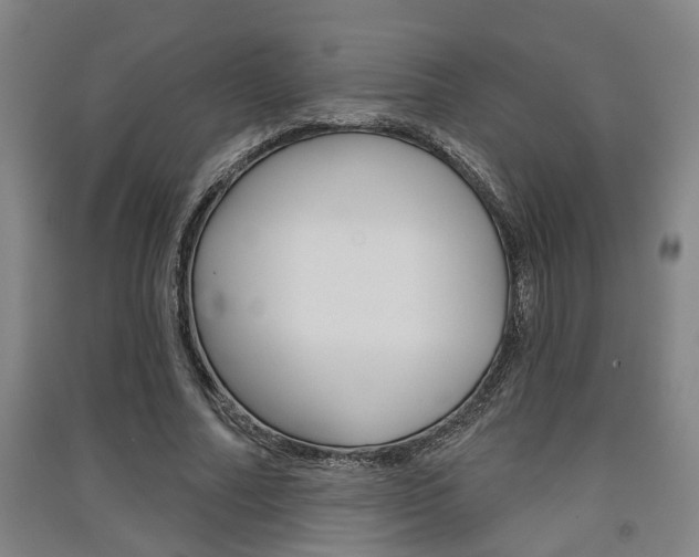 X0000091510682200708170950