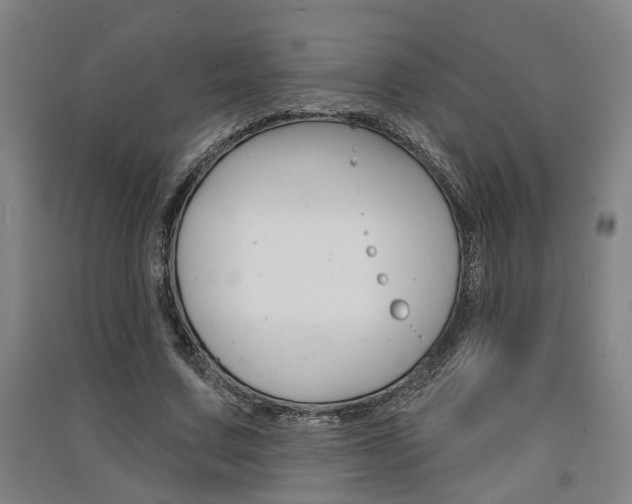 X0000091510683200708170949