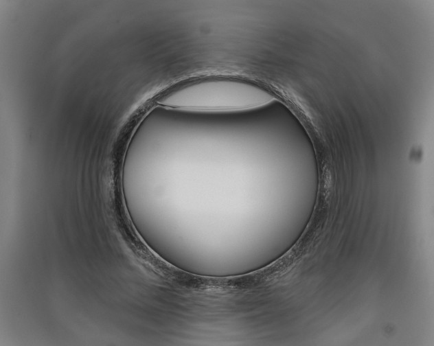 X0000091510684200708170949