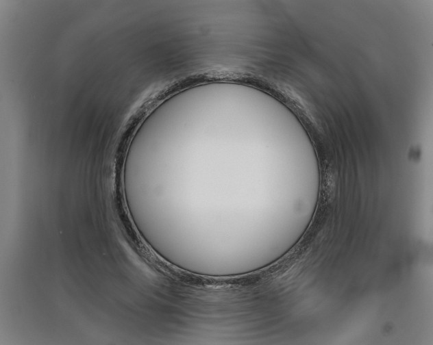 X0000091510686200708170949