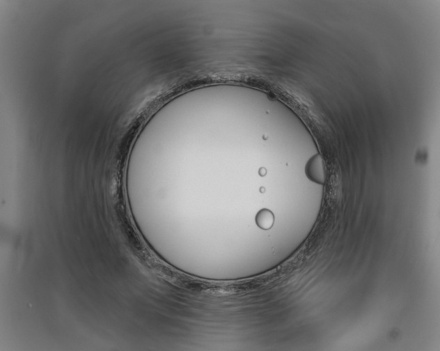 X0000091510687200708170949