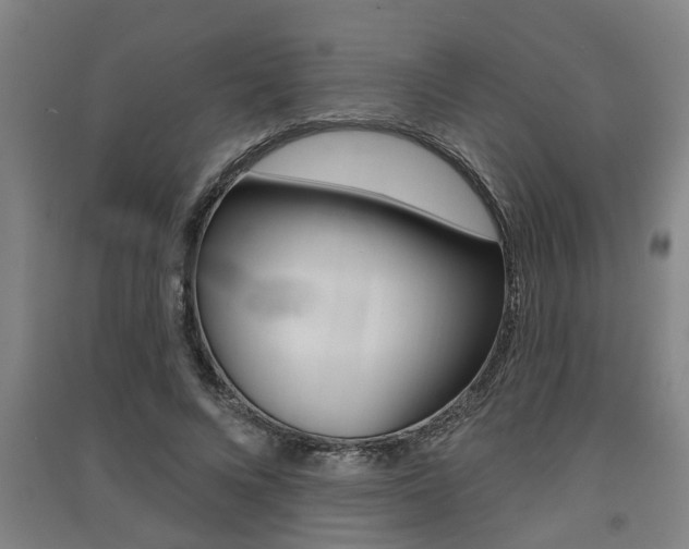 X0000091510688200708170949