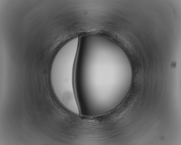 X0000091510689200708170949
