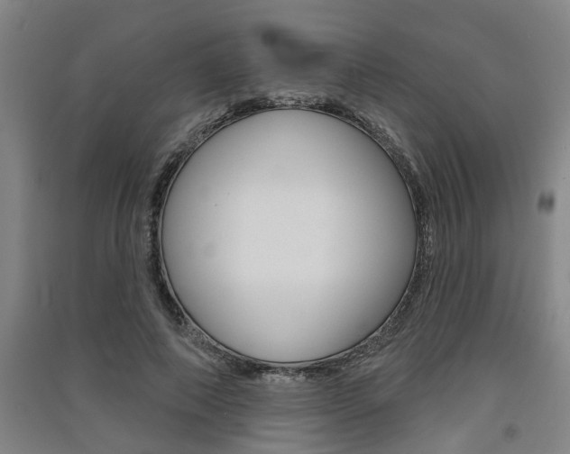 X0000091510690200708170949