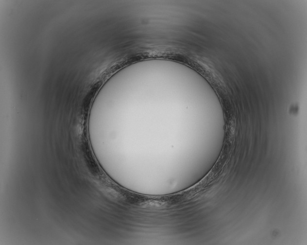 X0000091510691200708170949