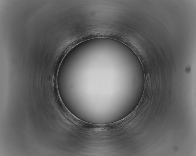 X0000091510692200708170949