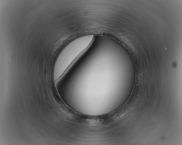 X0000091510693200708170949