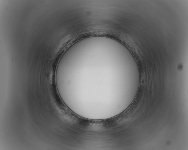 X0000091510694200708170949