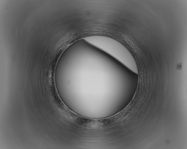 X0000091510696200708170949